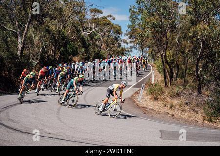 Adelaide, Australia. 18th Jan, 2024. Picture by Zac Williams/SWpix.com - 18/01/2024 - Cycling - 2024 Tour Down Under - Stage 3: Tea Tree Gully to Cambelltown (145.3km) - Luke Plapp, Jayco Alula. Credit: SWpix/Alamy Live News Stock Photo