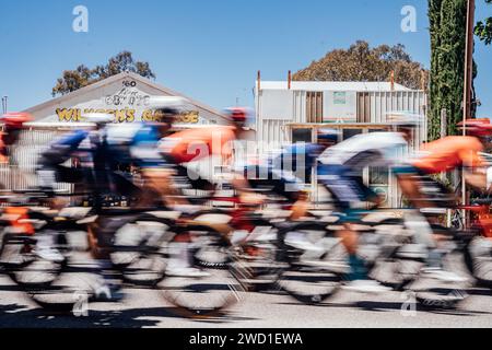 Adelaide, Australia. 18th Jan, 2024. Picture by Zac Williams/SWpix.com - 18/01/2024 - Cycling - 2024 Tour Down Under - Stage 3: Tea Tree Gully to Cambelltown (145.3km) - The peloton during Stage 3. Credit: SWpix/Alamy Live News Stock Photo