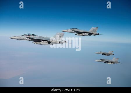 Two U.S. Navy E/A-18G Growlers and two U.S. Marine Corps F/A-18C Hornets fly in formation. Stock Photo