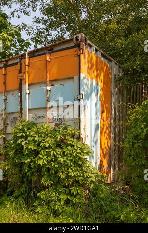 An old rusty shipping container stands among the trees. Stock Photo