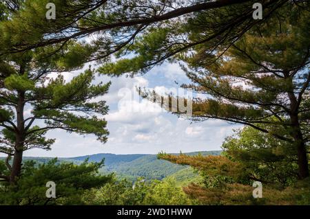 Cook Forest State Park and Clarion River Lands in scenic northwestern Pennsylvania, USA Stock Photo