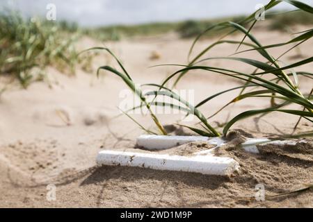 Styrofoam plastic waste in the sand of a dune on the beach Stock Photo