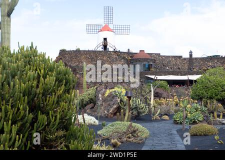 The Jardín de Cactus is a cactus and succulent garden on the northern of Guatiza on the northeast coast of Lanzarote. Popular Tourist attraction. Stock Photo
