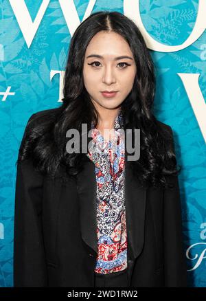 Amber Wang attends the premiere of Showtime's 'The Woman In The Wall