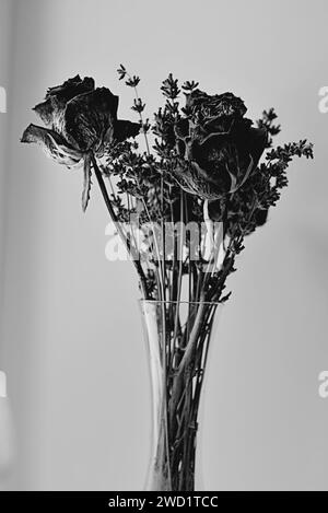 Black and white filmlike high contrast image of dried roses and lavender Stock Photo