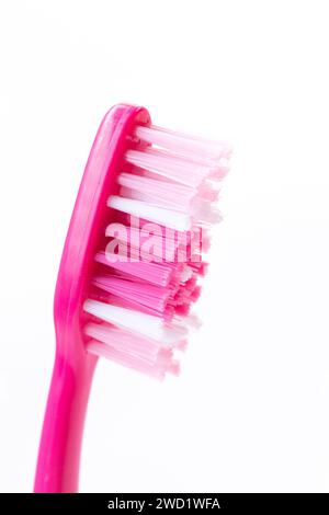 Close up of a single plastic toothbrush head Stock Photo