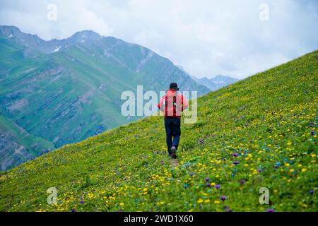 On one of beutiful hiking trek at Kashmir, Great Lake. That lake at above 3000 meter from teh sea. The lake is part of Himalayan. Stock Photo