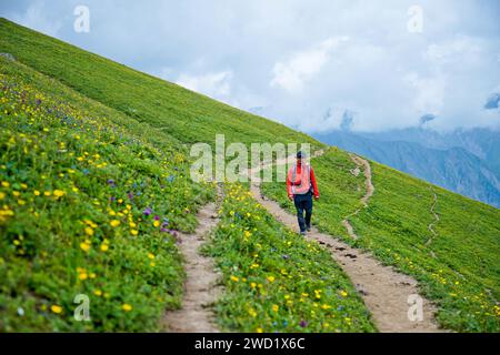 On one of beutiful hiking trek at Kashmir, Great Lake. That lake at above 3000 meter from teh sea. The lake is part of Himalayan. Stock Photo