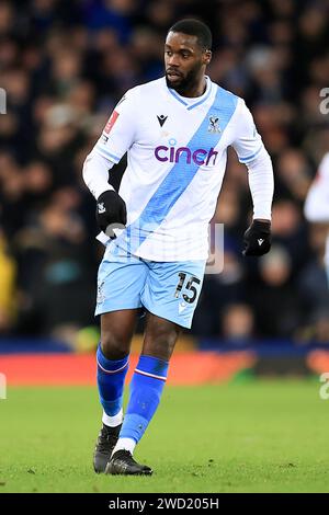 Liverpool, UK. 17th Jan, 2024. Jeffrey Schlupp of Crystal Palace during the Everton FC v Crystal Palace FC Emirates FA Cup 3rd Round Replay at Goodison Park, Liverpool, England, United Kingdom on 17 January 2024 Credit: Every Second Media/Alamy Live News Stock Photo