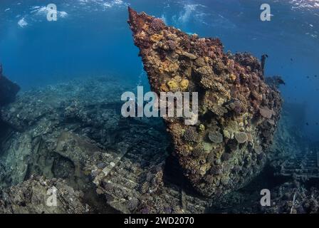 An intrepid scuba diver explores the enigmatic remains of a shipwreck, now home to a thriving coral reef. Stock Photo