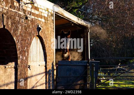 Early morning sunrise in the rural village of Clyst St. George Devon, UK curing cold temperatures featuring horse/stables and fields.18th January 2024 Stock Photo