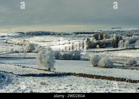 Snow-covered during winter landscape of the Aubrac plateau in Lozere, Occitanie, France Stock Photo