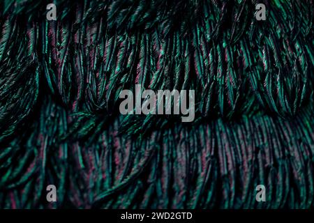 A closeup shot of dark greenish feathers creating a beautiful natural pattern Stock Photo