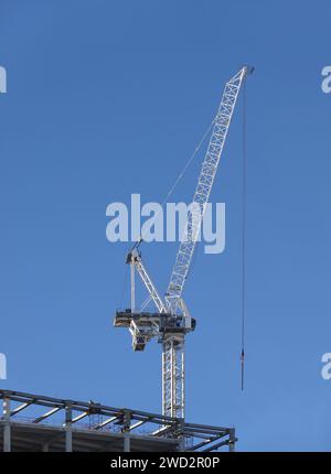 【原画】『Crane in the Clouds』 Kano Motonobu Japanese Crane Print – Japanese Art Poster
