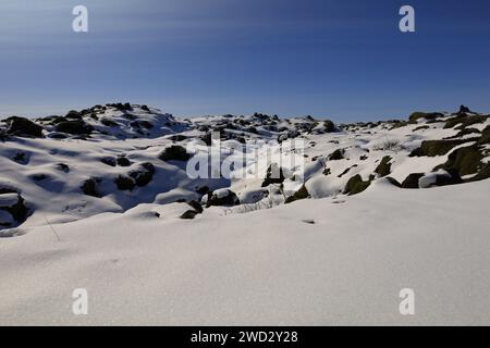 The Eldhraun is a lava flow formed during the eruption of Laki in 1783 ...