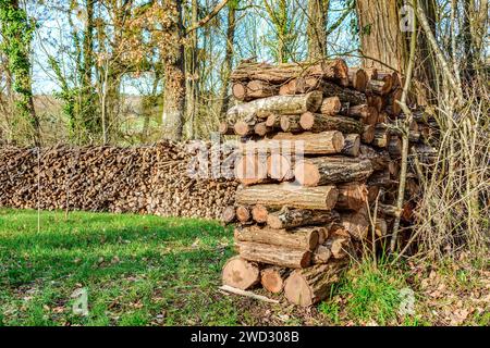 Long stack of tree branches and cut logs stored for domestic fuel - central France. Stock Photo