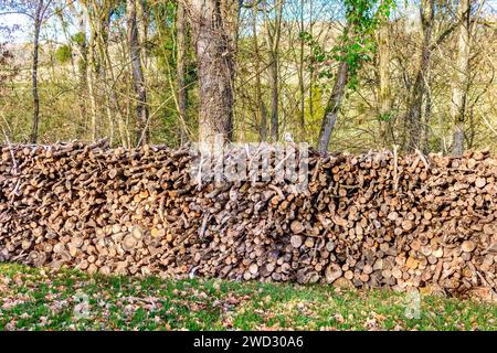 Long stack of tree branches and cut logs stored for domestic fuel - central France. Stock Photo