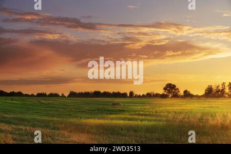 Beautiful sunset with dramatic sky over agricultural field. Stock Photo