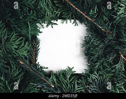 Creative layout made from natural thuja and spruce branches with copy space. Flat lay. Stock Photo