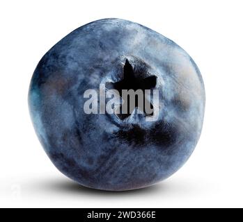 Blueberry isolated on white background Stock Photo