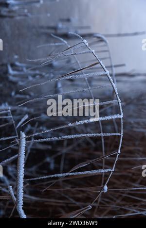 close-up of winter wonderland nature Stock Photo