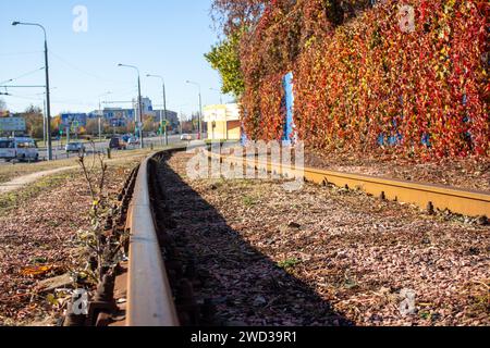 Golden autumn Stock Photo