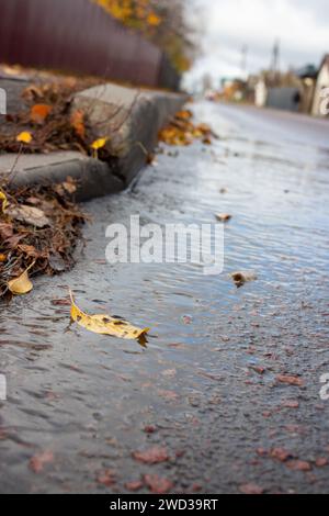 Golden autumn Stock Photo
