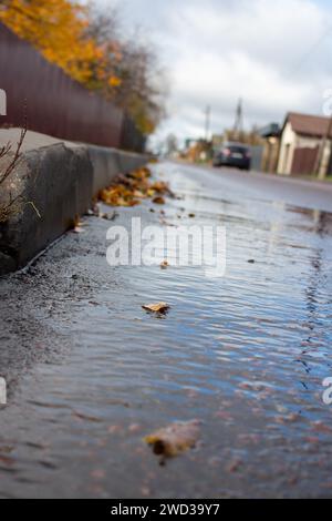 Golden autumn Stock Photo
