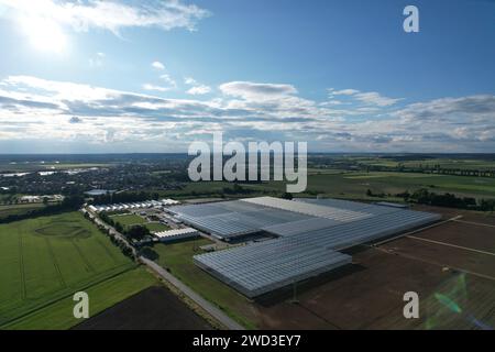 Glass greenhouses from above in sunny weather, big glass houses from aerial panorama landscape view,intensive modern agriculture in Europe Stock Photo