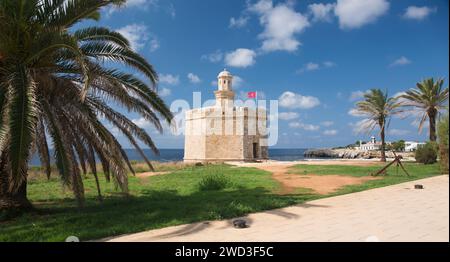 Ciutadella, Menorca, Balearic Islands, Spain. View along seafront to the Castell de Sant Nicolau, palm-tree in foreground. Stock Photo