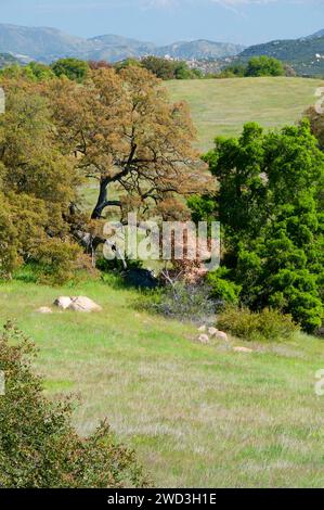 Oak grassland along Trans Preserve Trail, Santa Rosa Plateau Ecological ...