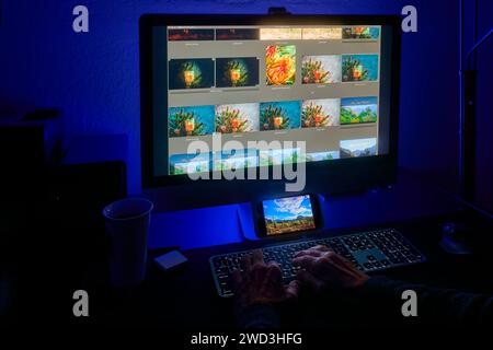 An individual's hands editing photos on a computer screen, showcasing vibrant images. Stock Photo