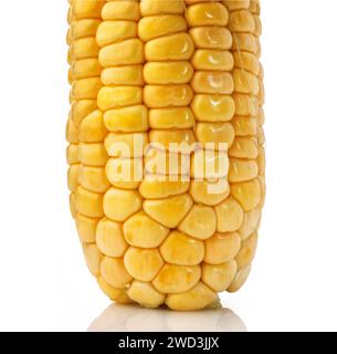 Close-up fresh corn isolated on white background Stock Photo