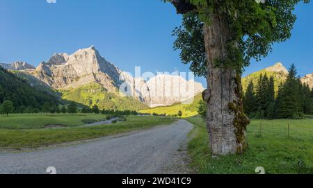 The morning panorama of north walls of Karwendel mountains - walls of Spritzkar spitze and Grubenkar spitze from Enger tall  - Grosser Ahornboden wall Stock Photo