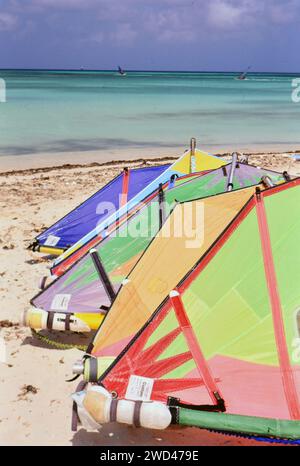 Colorful sails lined up along the 'winsurfing village' in Aruba ca. early 1990s. Please credit photographer: Joan Iaconetti Stock Photo