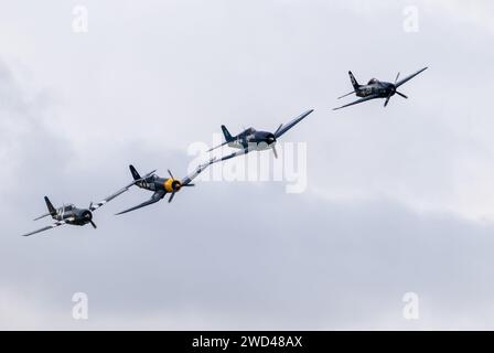 American WW2 fighter planes fly in close formation in the sky. F4U corsair, F8F Wildcat, F4F among others. Stock Photo