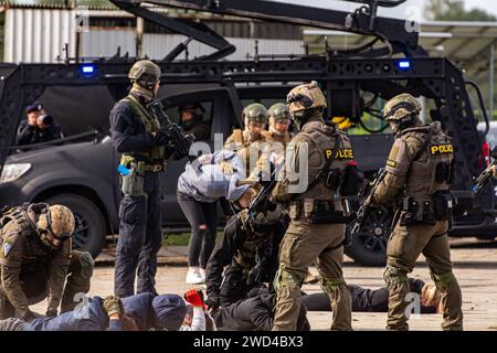 Special forces SWAT police arresting criminals and releasing hostages ...