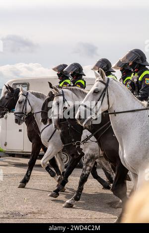 Riot police on horseback. Czech Republic city police officers mounted on horses riding their steeds into a crowd of protestors during a demonstration. Stock Photo