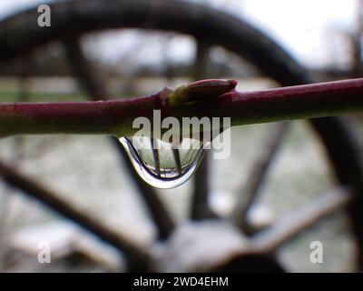 A drop hanging on a branch. In the bakground a blurred nostalgic wagon wheel Stock Photo
