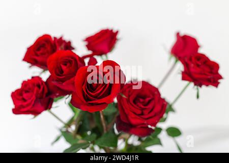 Red roses in a transparent vase, beautifully arranged in a room adorned with pristine white walls Stock Photo