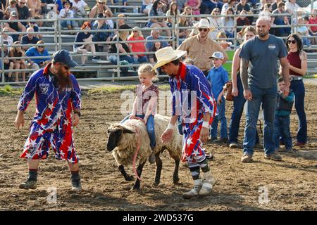 Muttin Bustin. Young girl riding a sheep. Small town weekly Bull Riding as a sport. Fox Hollow Rodeo. Waynesville, Dayton, Ohio, USA. Stock Photo