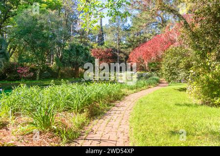 Colorful garden and brick walking path through MaClay Gardens National Park in Tallahassee, Florida Stock Photo