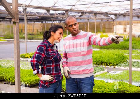 Two latino garden workers discussing working process Stock Photo
