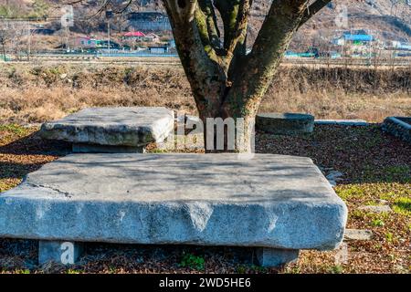 Large concrete picnic table in front of tree at rural country park, South Korea, South Korea, South Korea Stock Photo