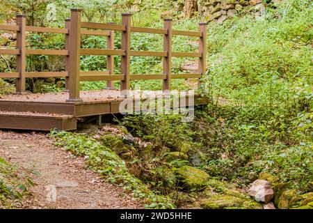 Wooden footbridge over a small stream on hiking trail in mountain forest, South Korea Stock Photo