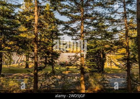 Two lane road through cemetery obscured by treeline with rows of headstones in background under blue sky, South Korea, South Korea Stock Photo