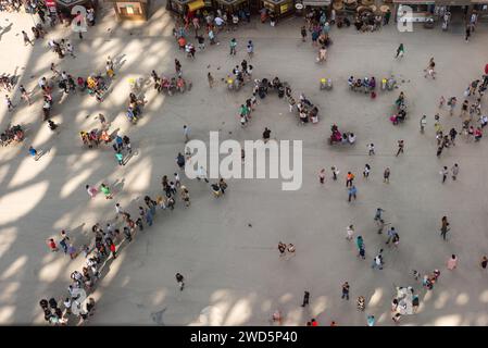 People, top view of a crowd, tourists queuing and walking, standing on square under Eiffel Tower, street pigeons or city pigeons, shadow cast by Stock Photo