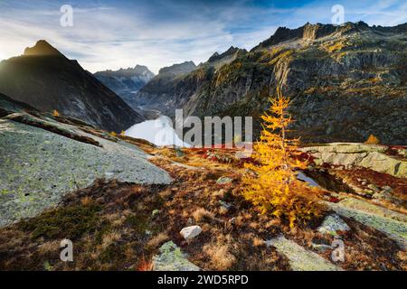 Swiss Alps in autumn, Grimselsee and Lauteraarhorn, Bern, Switzerland Stock Photo