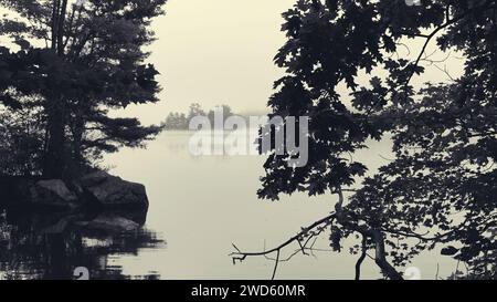 Fog on Cobbossee Lake, Maine, duotoned. Stock Photo