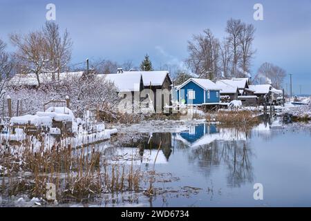 Winter Snow and Ice Finn Slough. Snow and ice in the historic fishing settlement of Finn Slough on the banks of the Fraser River near Steveston in Ric Stock Photo